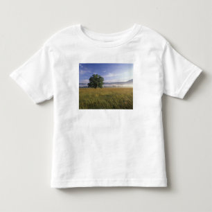 Camiseta Infantil EUA, Tennessee. Grandes Montanhas Smokey