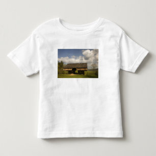 Camiseta Infantil EUA, Tennessee, Great Smoky Mountain NP.