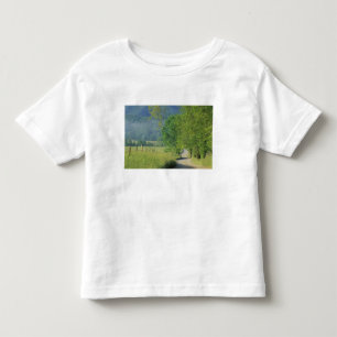 Camiseta Infantil EUA, Tennessee, Great Smoky Mountains NP,
