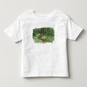 Camiseta Infantil EUA, Tennessee, Great Smoky Mountains NP, 3