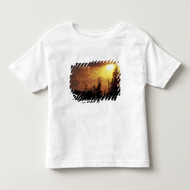 Camiseta Infantil EUA, Tennessee, Montanhas Enfumaçados Excelentes N (Frente)