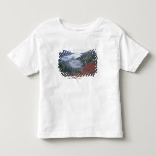 Camiseta Infantil EUA, Tennessee, Parque Nacional das Grandes Montan