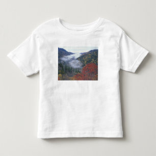 Camiseta Infantil EUA, Tennessee, Parque Nacional das Grandes Montan