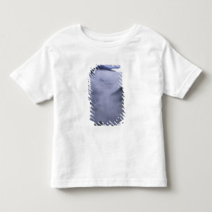 Camiseta Infantil EUA, Tennessee. Parque Nacional das Grandes Montan