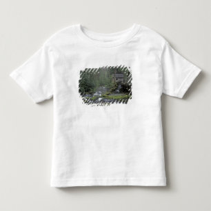 Camiseta Infantil EUA, Tennessee, Parque Nacional Great Smoky Mounta