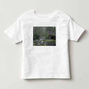 Camiseta Infantil EUA, Tennessee, Parque Nacional Great Smoky Mounta