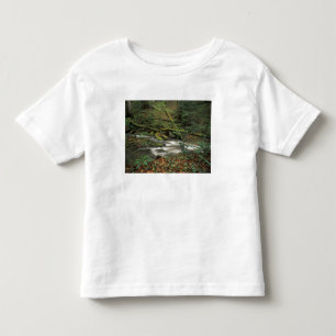Camiseta Infantil EUA, Tennessee. Rio Nacional Big South Fork
