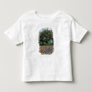 Camiseta Infantil EUA, Texas, Marble Falls Paintbrush e