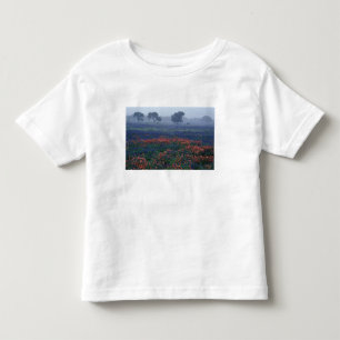 Camiseta Infantil EUA, Texas, perto de Lytle Fog, carvalhos, blue bo