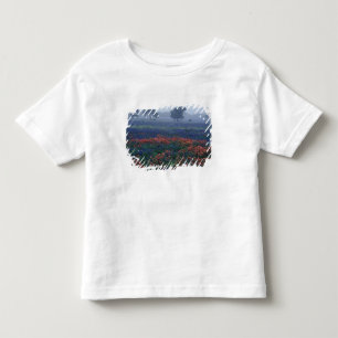 Camiseta Infantil EUA, Texas, perto de Lytle Fog, carvalhos, blue bo