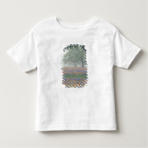Camiseta Infantil EUA, Texas. Pincel e bluebonnets do Texas