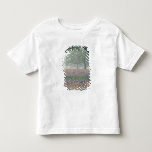 Camiseta Infantil EUA, Texas. Pincel e bluebonnets do Texas (Frente)