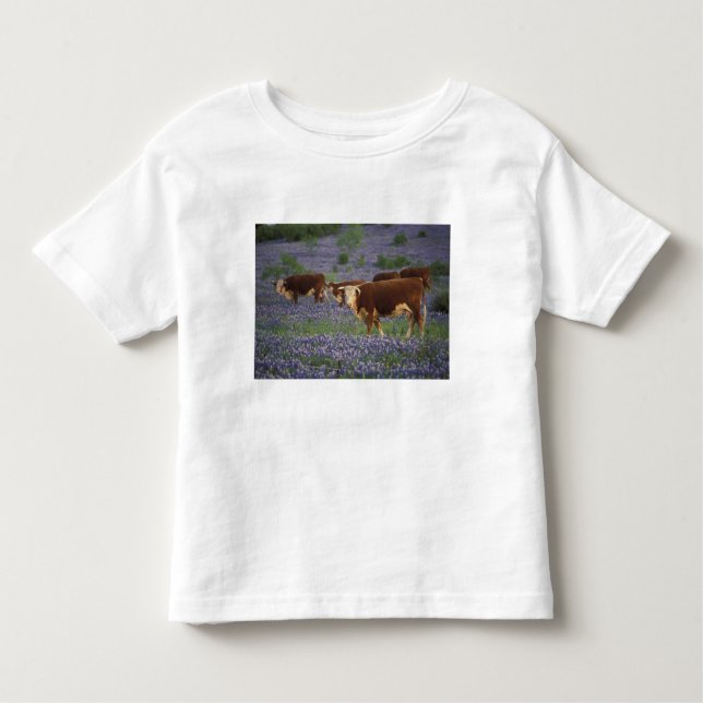 Camiseta Infantil EUA, Texas, Texas Hill Country, Hereford (Frente)