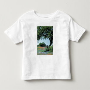 Camiseta Infantil EUA, Texas, Texas Hill Country Paintbrush e