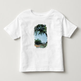 Camiseta Infantil EUA, Texas, Texas Hill Country Paintbrush e