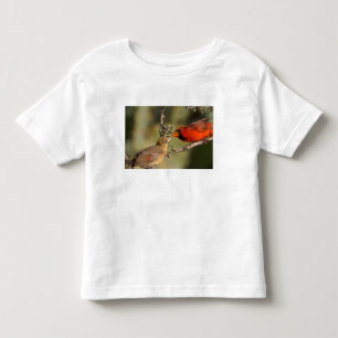 Camiseta Infantil EUA, Texas, Vale do Rio Grande, McAllen. Acasalado