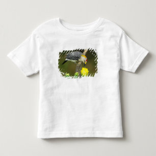 Camiseta Infantil EUA, Texas, Vale do Rio Grande, McAllen. Macho