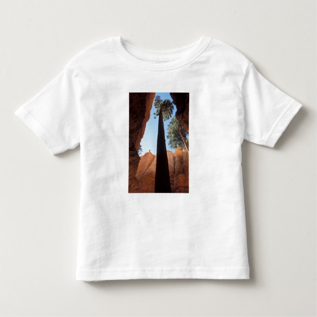 Camiseta Infantil EUA, Utah, Bryce Canyon National Park.Alto (Frente)