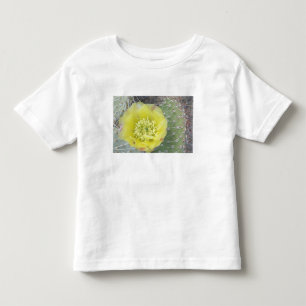 Camiseta Infantil EUA, Utah, Canyonlands, NP, Pera Espinhosa do Dese