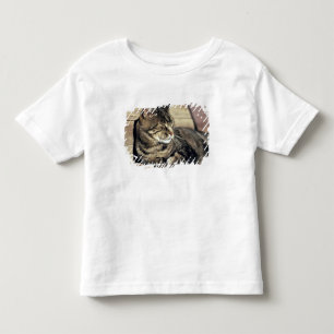Camiseta Infantil EUA, Utah, Capitol Reef NP. Gato rajado dormindo