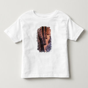 Camiseta Infantil EUA, Utah, Escalante. Arenito repetitivo