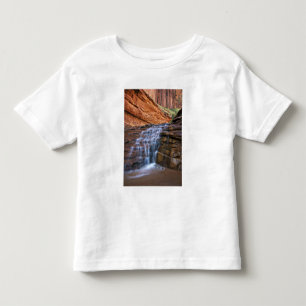 Camiseta Infantil EUA, Utah, Escalante Wilderness. Cachoeira em