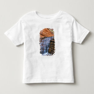 Camiseta Infantil EUA, Utah, Escalante Wilderness. Cachoeira em