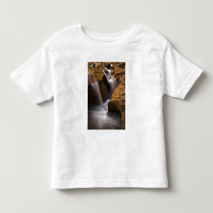 Camiseta Infantil EUA, Utah, Escalante Wilderness. Cachoeira em 2