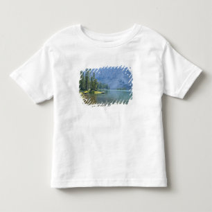 Camiseta Infantil EUA, Utah, Floresta Nacional Ashley, High Uintas