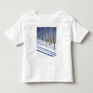 Camiseta Infantil EUA, Utah, Floresta Nacional Dixie, Aspen Grove