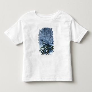 Camiseta Infantil EUA, Utah, Floresta Nacional Wasatch-Catch,