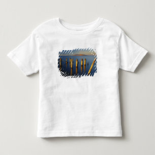 Camiseta Infantil EUA, Utah, Grande Bacia, Saltair, Grande Sal