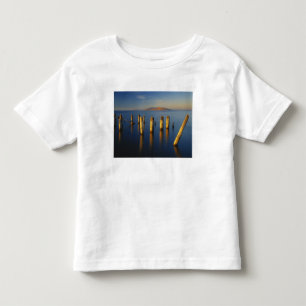 Camiseta Infantil EUA, Utah, Grande Bacia, Saltair, Grande Sal