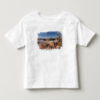 EUA, Utah, Moab. Parque Nacional Canyonlands,