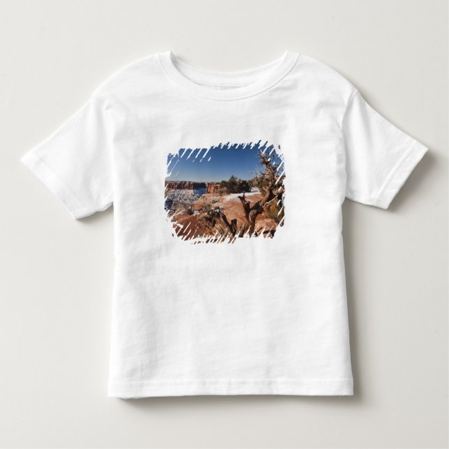 Camiseta Infantil EUA, Utah, Moab. Parque Nacional Canyonlands, (Frente)