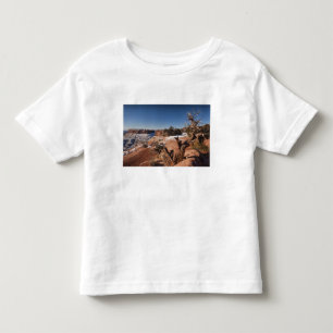 Camiseta Infantil EUA, Utah, Moab. Parque Nacional Canyonlands,