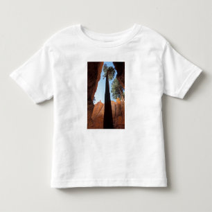 Camiseta Infantil EUA, Utah, Parque Nacional Bryce Canyon. Alto