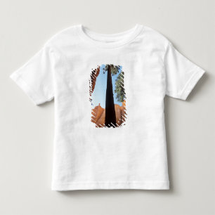 Camiseta Infantil EUA, Utah, Parque Nacional Bryce Canyon. Alto