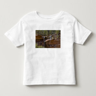 Camiseta Infantil EUA, Utah, Parque Nacional de Zion, Cachoeiras em