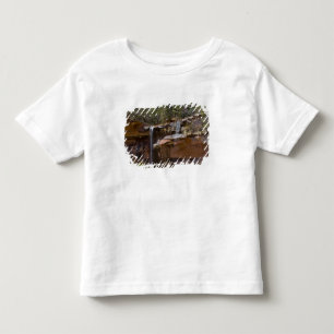 Camiseta Infantil EUA, Utah, Parque Nacional de Zion, Cachoeiras em