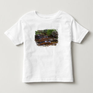 Camiseta Infantil EUA, Utah, Parque Nacional de Zion. Cênico a parti
