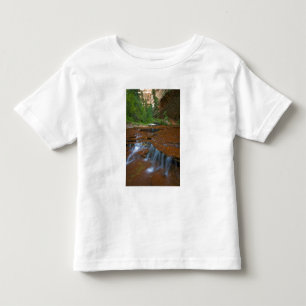 Camiseta Infantil EUA, Utah, Parque Nacional de Zion. Cênico a parti