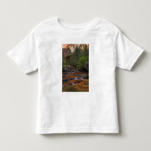 Camiseta Infantil EUA, Utah, Parque Nacional Zion.  Cênico a partir 