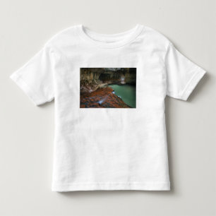 Camiseta Infantil EUA, Utah, Parque Nacional Zion. Cênico a partir d
