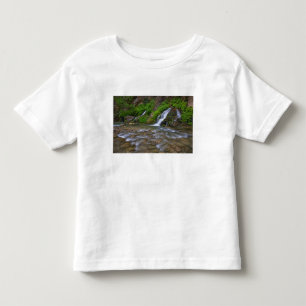 Camiseta Infantil EUA, Utah, Parque Nacional Zion. Grandes Nascente