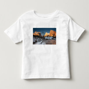 Camiseta Infantil EUA, Utah, Parque Nacional Zion. Nascer do sol na
