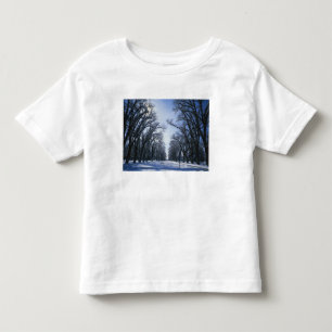 Camiseta Infantil EUA, Utah, Salt Lake City, Liberty Park,