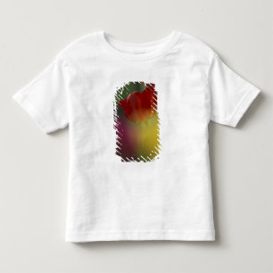 Camiseta Infantil EUA, Utah, Tulipas do Vale Cache em um jardim