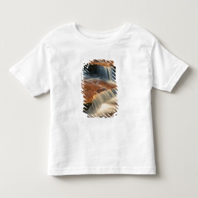 Camiseta Infantil EUA, Utah, Zion National Park. Scenic de 2 (Frente)