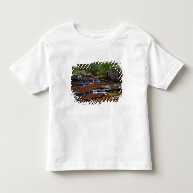 Camiseta Infantil EUA, Utah, Zion National Park. Scenico de 4 (Frente)
